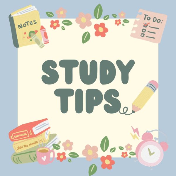 Study tips